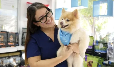 Las mascotas sufren con la pólvora