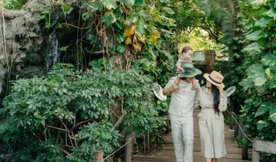 Hay varios planes para la familia en el Zoológico. 