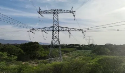 Imagen de referencia.