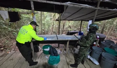 Laboratorio de cocaína desmantelado