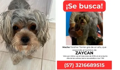 Una foto de Zaykan y el afiche que su familia está distribuyendo