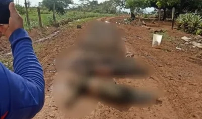 Combate entre disidencias