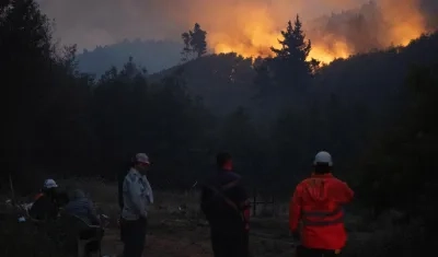 Incendios forestales en Chile