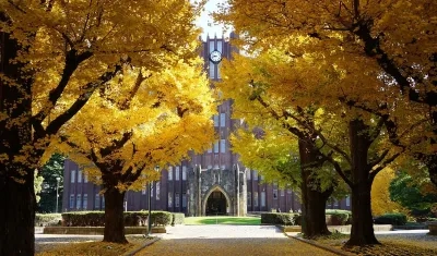 Universidad de Tokyo