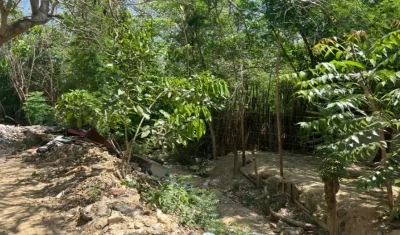 Arroyo del barrio Brisas del Puerto, donde se registró el ataque. 