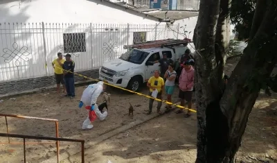 Diligencias de levantamiento.