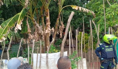 Doble crimen en Malambo.