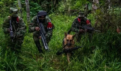 Guerrilla del ELN