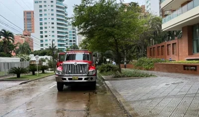 Imagen de referencia.