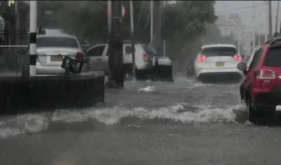 Imagen de referencia.