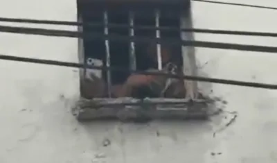 Presos grabando desde la Cárcel Modelo Barranquilla