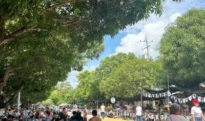 Batalla de Flores y Reinado Intermunicipal de Santo Tomás. 