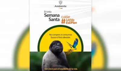 Imagen del Ministerio de Ambiente.