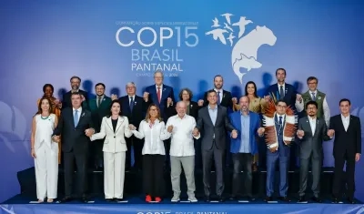 El anuncio de la ONU se dio a conocer en la COP15 en Brasil.