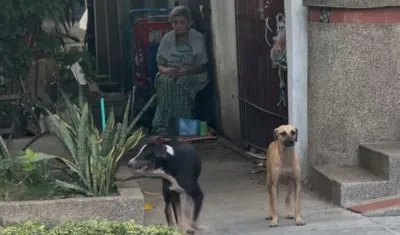 La vivienda, dos de los perros y una de las señoras que reside en el sitio.