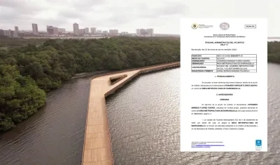 Fallo que declara la nulidad a Área Metropolitana como autoridad ambiental. 