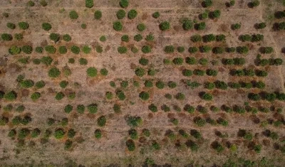 Foto con efectos del fenómeno de El Niño.