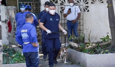 Recuperación de animales en vivienda del norte. 