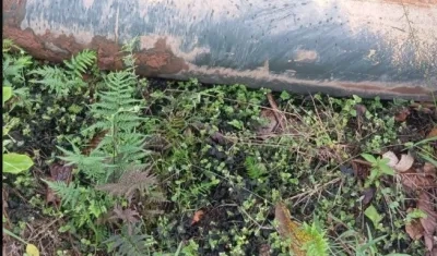 La bomba hallada en la frontera.