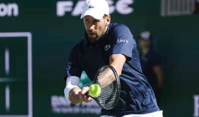 El tenista serbio Novak Djokovic.  