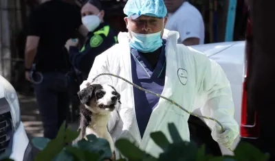 Imagen del operativo.