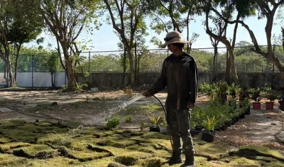 Gramilla instalada en la Humboldt procedente del Metropolitano