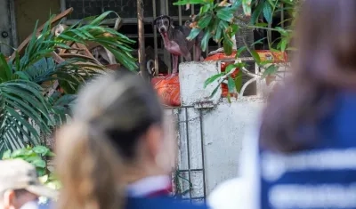 Operativo de las autoridades en casa del norte.