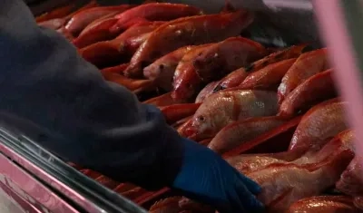 Se prevé un comportamiento estable de los precios durante Semana Santa.