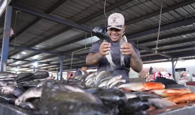 La Plaza del Pescado está ubicada en la ubicada en la calle 8 con carrera 42, en el sector de Barranquillita. 