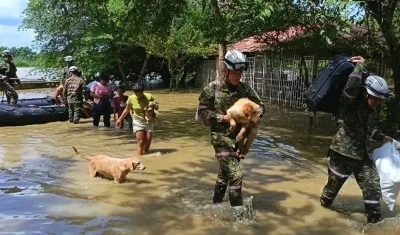 Imagen de referencia.