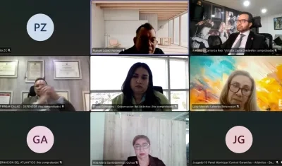 Aspecto de la audiencia virtual de este miércoles. 