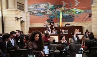 Plenaria de la Cámara de Representantes.