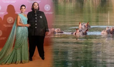 El heredero multimillonario indio Anant Ambani y los hipopótamos.