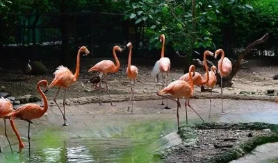 Zoológico Baq