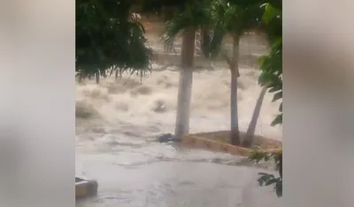 Sector donde iba siendo arrastrado el joven por la corriente del arroyo El Salao. 