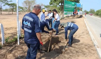 Imagen del operativo.