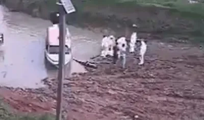 Levantamiento de los cuerpos en zona de combates entre disidencias de las FARC.