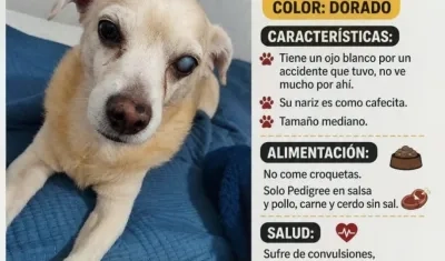 El perrito 'Thiago'.