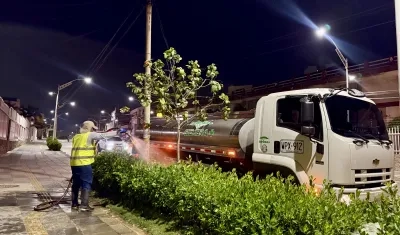 Distrito promueve estrategias de siembra de árboles para mitigar el impacto de la desertificación y la sequía  