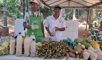 Festival Frutos del Campo. 