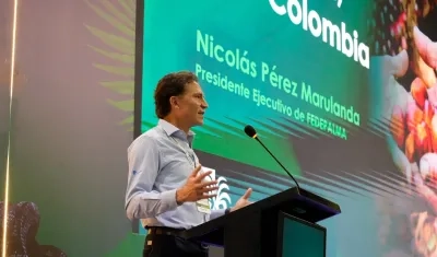 Nicolás Pérez Marulanda, presidente Ejecutivo de Fedepalma.