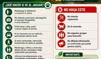 Afiche informativo. 