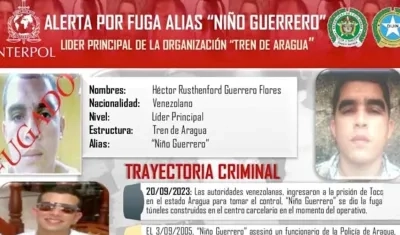 Alias 'Niño Guerrero'