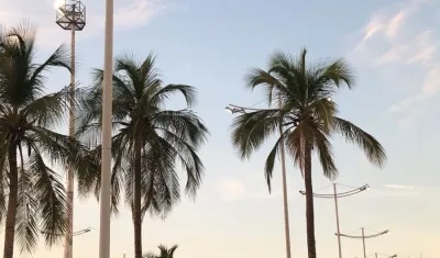 Alumbrado público en Santa Marta.