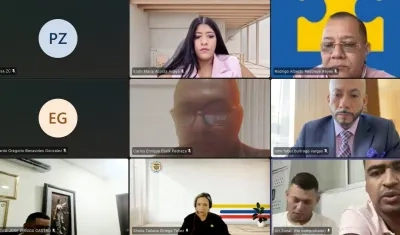 Aspecto de la audiencia virtual de este miércoles. 