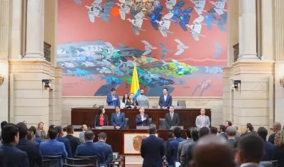 Cámara de Representantes.