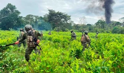 Ejército ecuatoriano destruyendo las plantas de coca. 