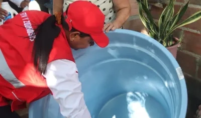 La eliminación de criaderos de mosquito permite reducir riesgos de contraer el dengue. 