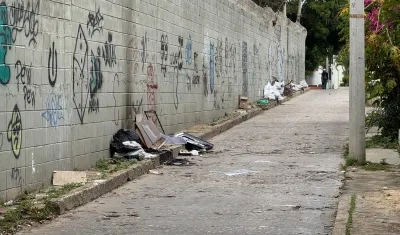 Callejón donde fueron encontrados los dos perros en un costal. 