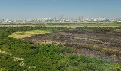 Parque Isla Salamanca.
